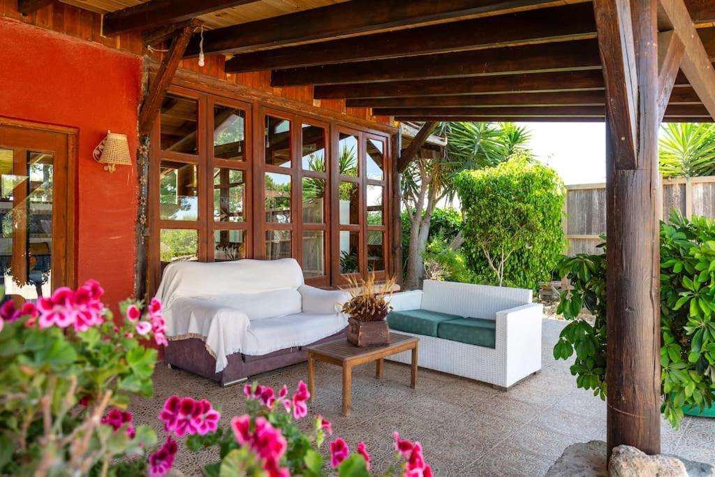 Finca Los Caleros Algorfa, Espana Dış mekan fotoğraf